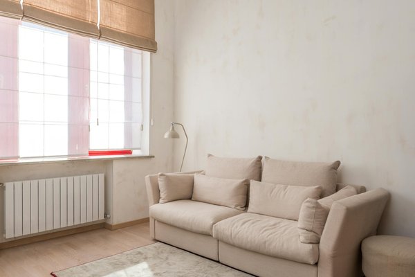 Les plantes à privilégier autour d'une piscine couverte